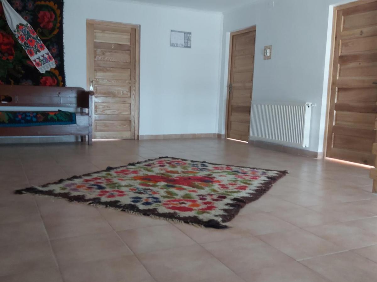 Pensiunea Schilacy Grosii Tiblesului Exterior foto